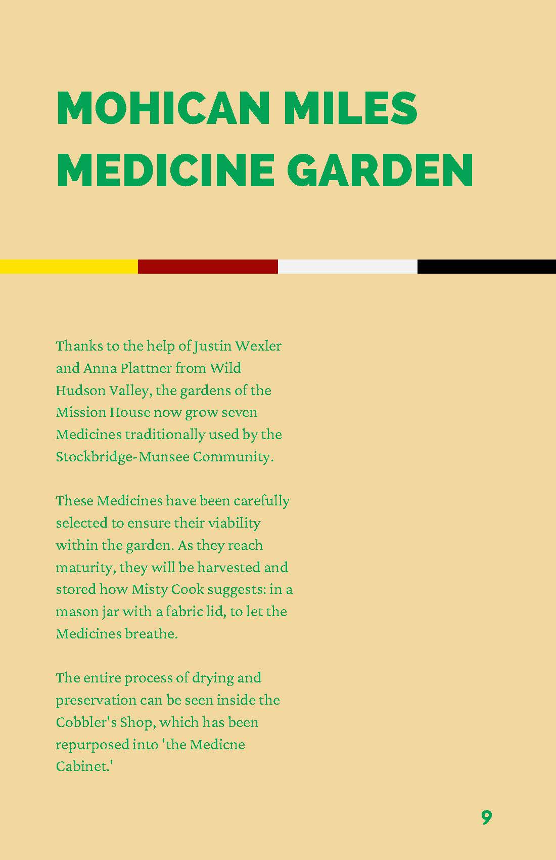 Ancestral Medicines Catalog_Page_10.jpg